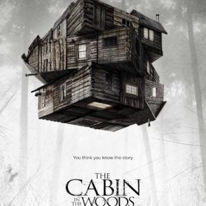 Cabinposter