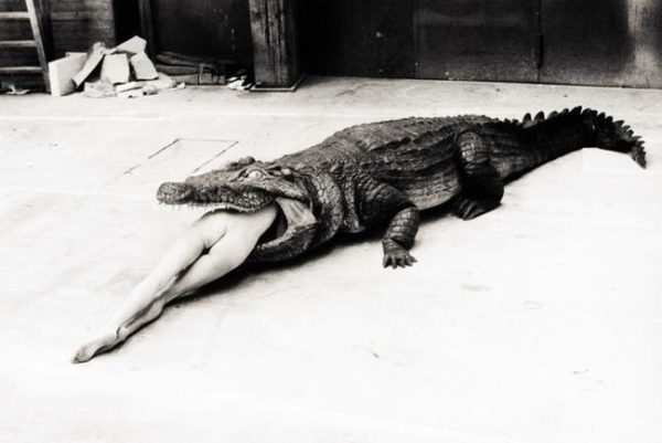 helmut newton crocodile 0eyo1_1280