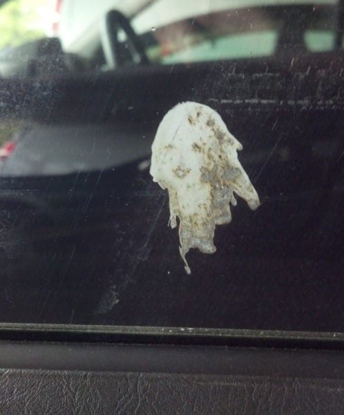 bird-poop-looks-like-a-woman