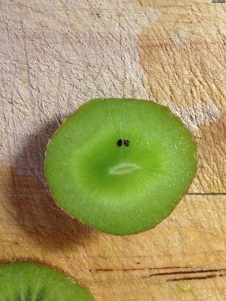 sad-kiwi