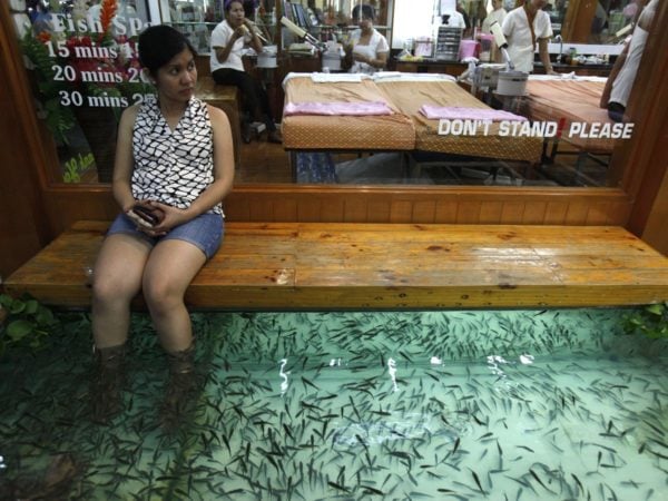 adventurous-spa-goers-may-want-to-visit-a-fish-spa-where-tiny-fish-nibble-at-the-dead-skin-on-your-feet