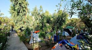 camping-coralli-serifos