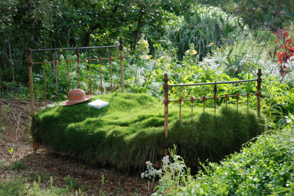 bed garden