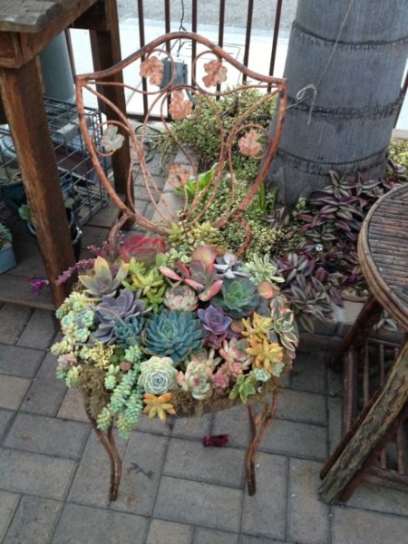 chair garden