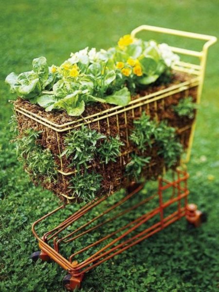 shopping cart garden