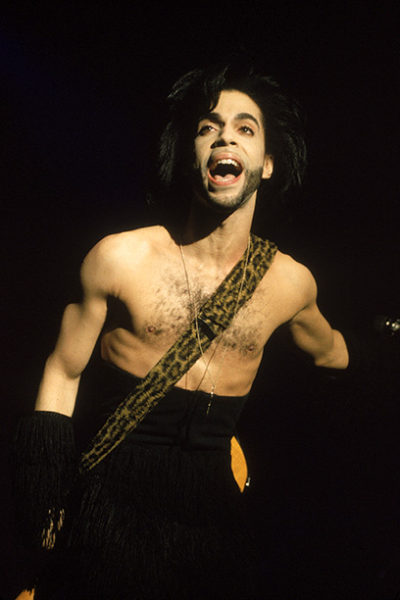 prince photo gallery5