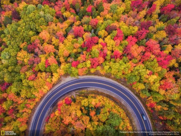 best photos national geographic contest 2016 15