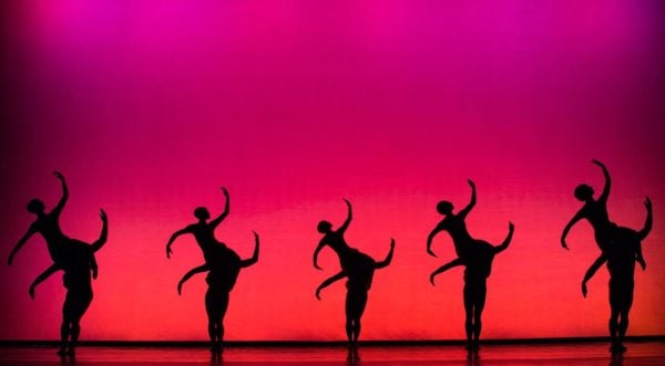 momix opus cactus theatro pallas 2016 2