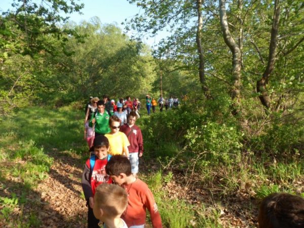 pezoporia kids weekend ioulios 2017