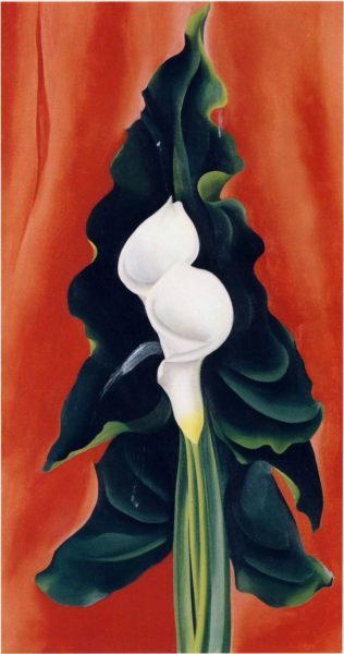 calla lillies on red 1928