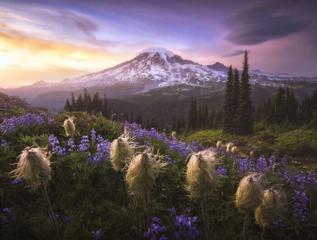 International Landscape Photographer of the Year 2020